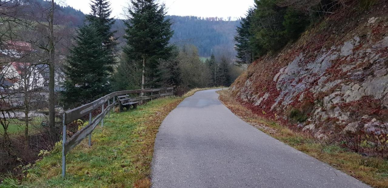 Ferienwohnung "Hirschlein" Im Schwarzwald バイアースブロン エクステリア 写真