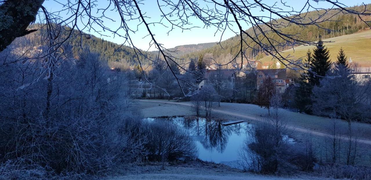 Ferienwohnung "Hirschlein" Im Schwarzwald バイアースブロン エクステリア 写真