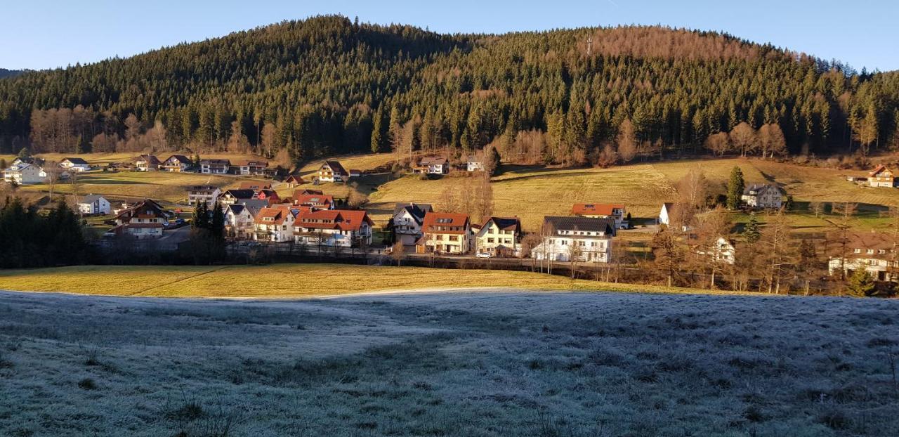 Ferienwohnung "Hirschlein" Im Schwarzwald バイアースブロン エクステリア 写真