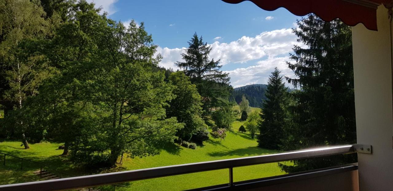 Ferienwohnung "Hirschlein" Im Schwarzwald バイアースブロン エクステリア 写真