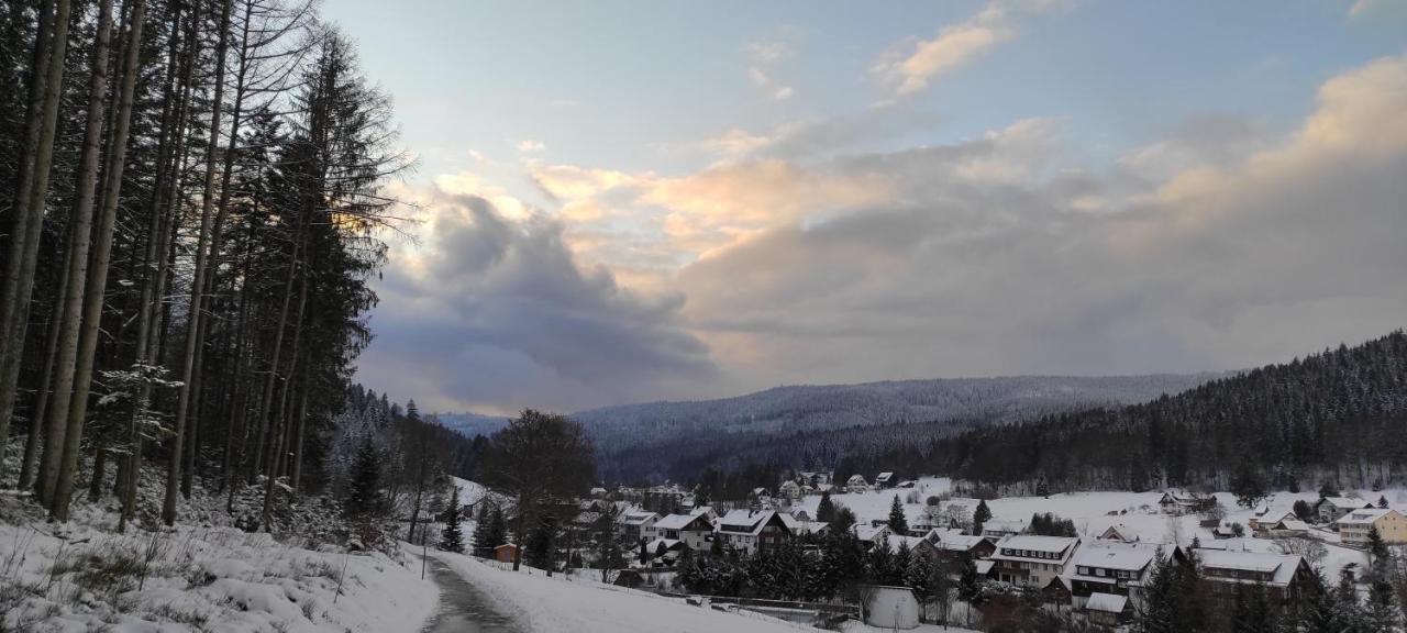 Ferienwohnung "Hirschlein" Im Schwarzwald バイアースブロン エクステリア 写真