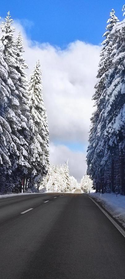 Ferienwohnung "Hirschlein" Im Schwarzwald バイアースブロン エクステリア 写真