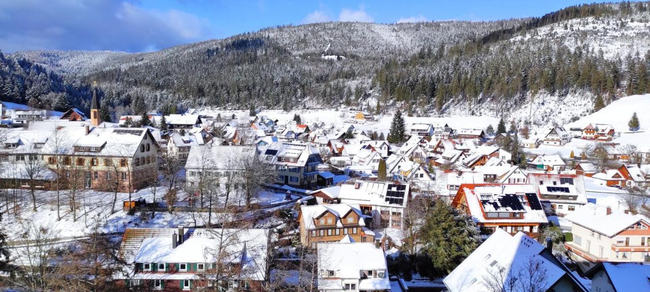 Ferienwohnung "Hirschlein" Im Schwarzwald バイアースブロン エクステリア 写真