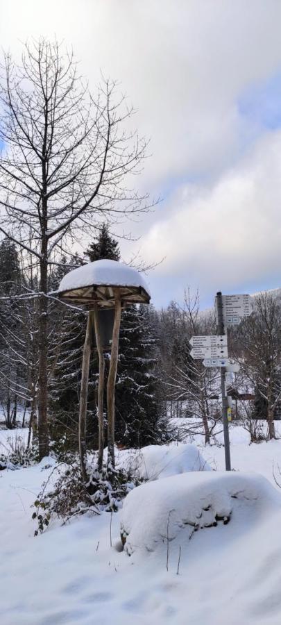 Ferienwohnung "Hirschlein" Im Schwarzwald バイアースブロン エクステリア 写真