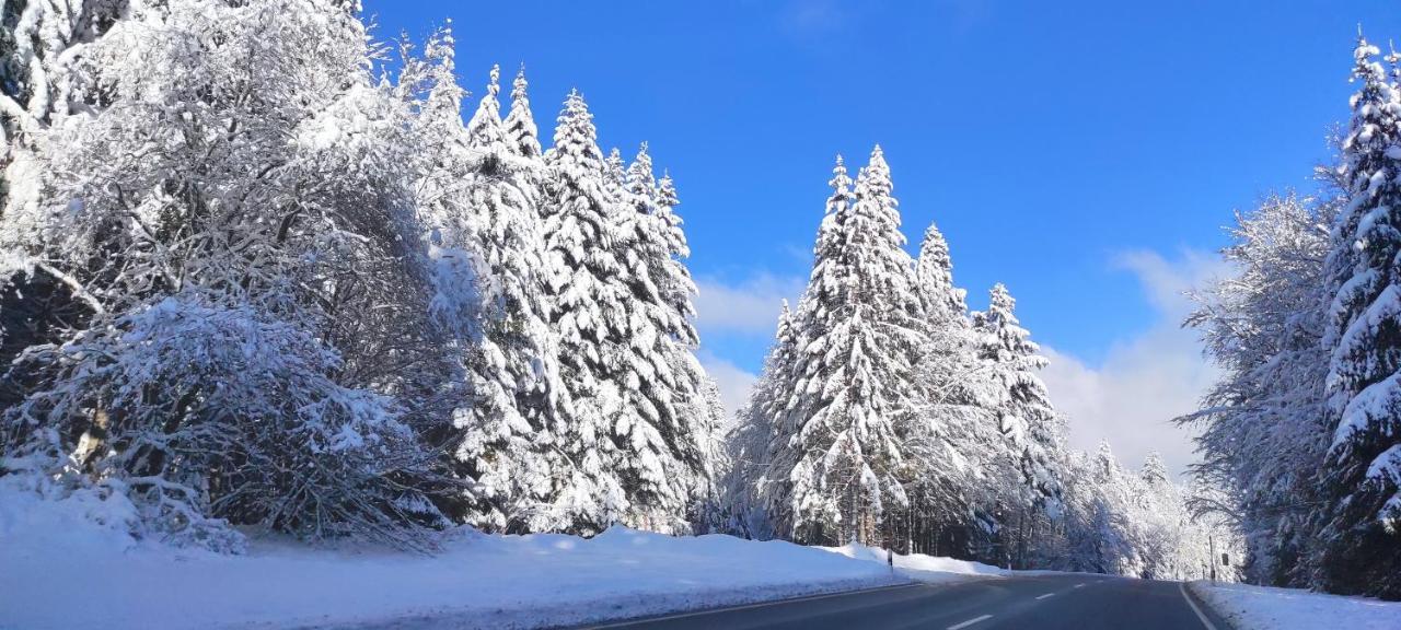 Ferienwohnung "Hirschlein" Im Schwarzwald バイアースブロン エクステリア 写真