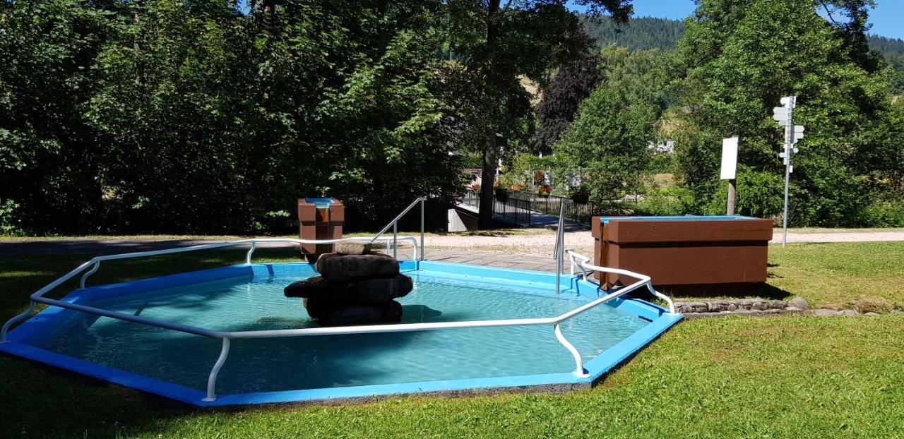 Ferienwohnung "Hirschlein" Im Schwarzwald バイアースブロン エクステリア 写真