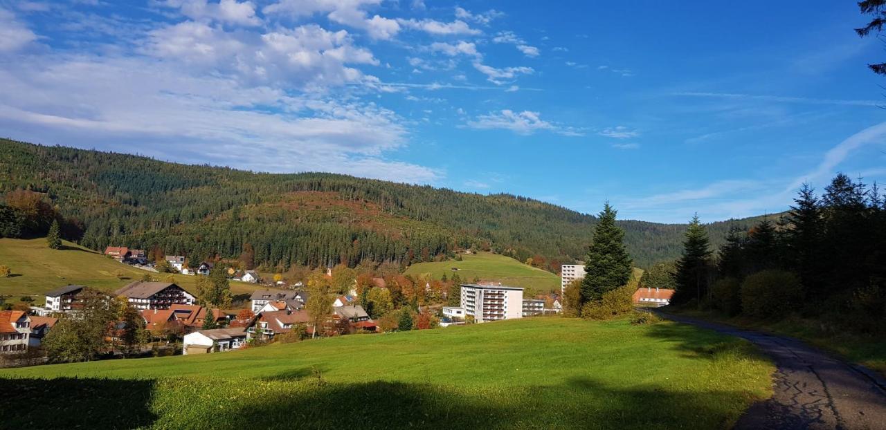 Ferienwohnung "Hirschlein" Im Schwarzwald バイアースブロン エクステリア 写真