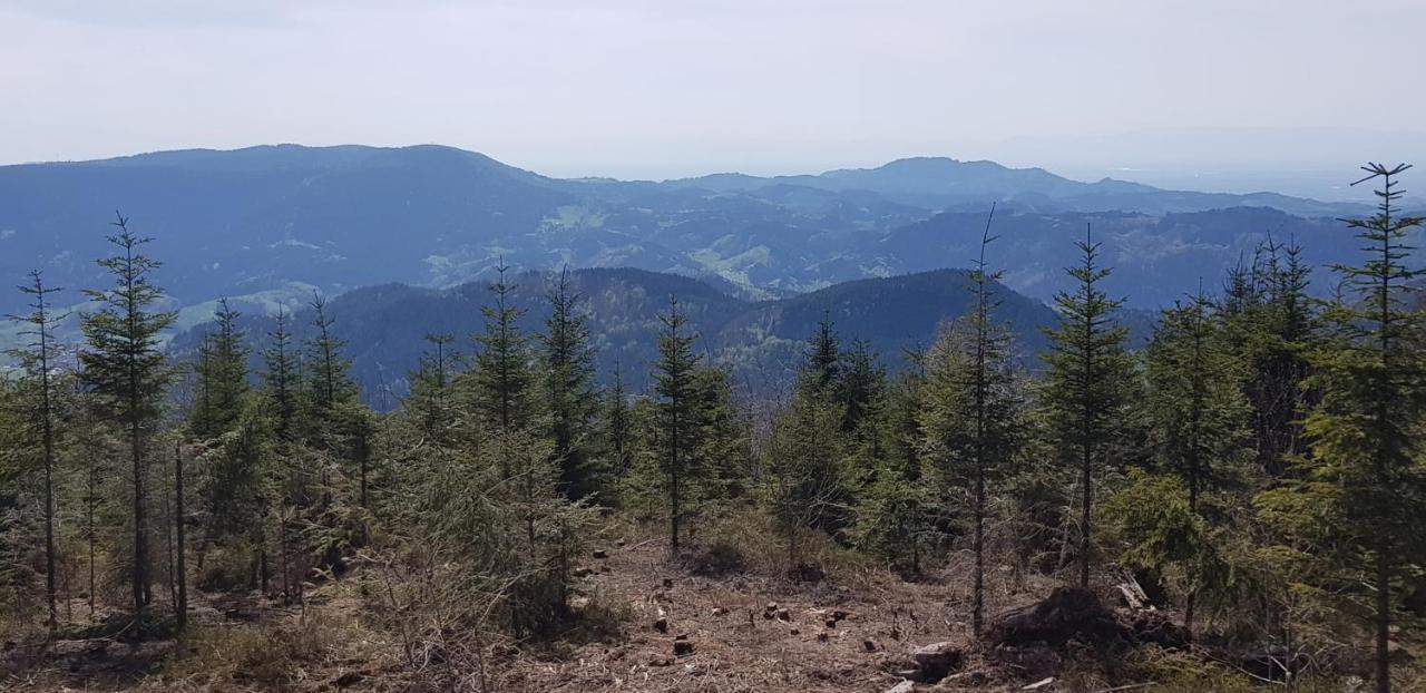 Ferienwohnung "Hirschlein" Im Schwarzwald バイアースブロン エクステリア 写真