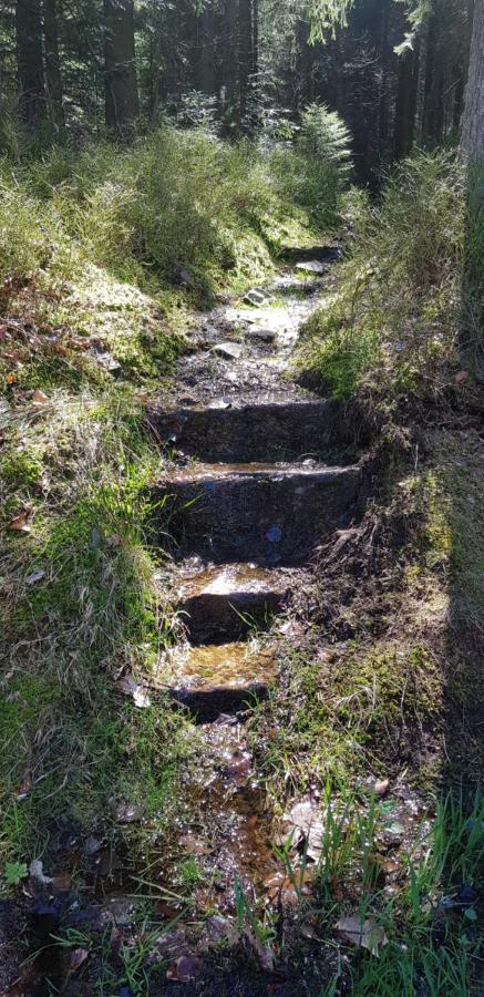 Ferienwohnung "Hirschlein" Im Schwarzwald バイアースブロン エクステリア 写真
