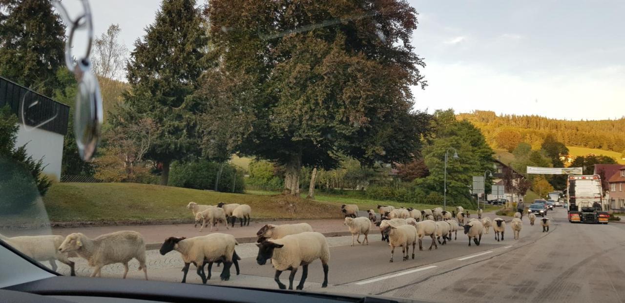 Ferienwohnung "Hirschlein" Im Schwarzwald バイアースブロン エクステリア 写真